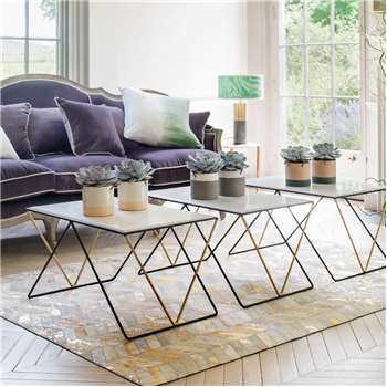 Detroit Marble Coffee Table (H50 x W76 x D43cm)