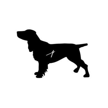 Wagging Tail Dog Clock in Spaniel 30 x 48cm